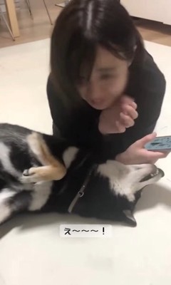 スマホを押しのけて「僕を見て」とアピール