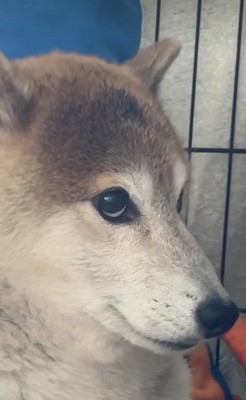緊張感がすごい…!