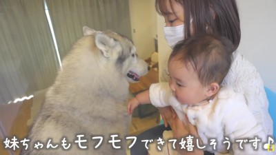 赤ちゃんも懐いています♡