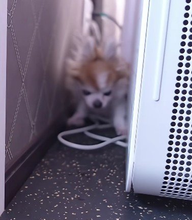 とっても狭いところにいた！