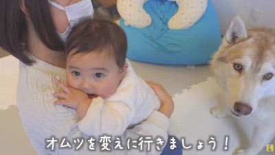 おむつが原因だった！！