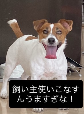 中身は人間!?