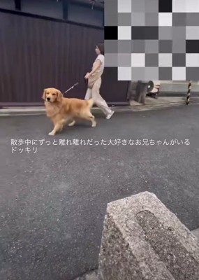 何かを見つけたみたい