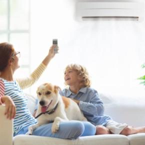 犬にとって『快適な気温』とは?室内の設定温度は何度にしたらいいの?