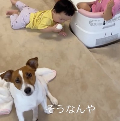 ママの話を真剣に聞きます