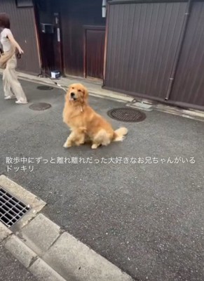 「あれは絶対お兄ちゃん!」