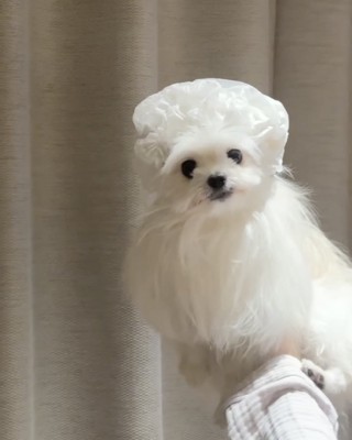 天使