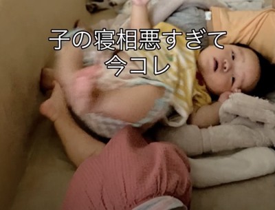 モックちゃんはどこへ…?