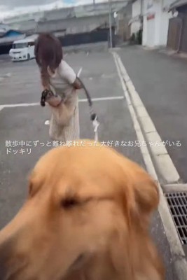 「やっぱりお兄ちゃんだ~」