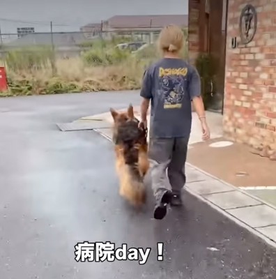隣を歩く犬2