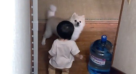 ぽちゃ子ちゃんにバレてる…！