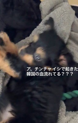 なぜかいいタイミングで目覚める