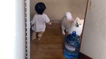 かくれんぼしてるみたい！？