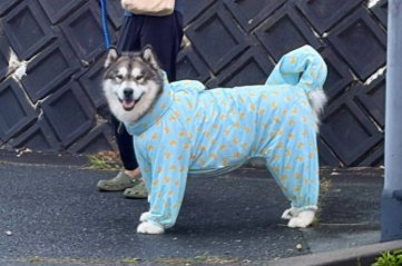 ニッコリ