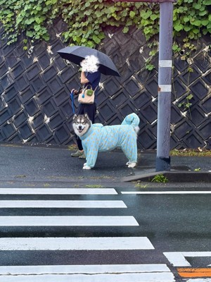 尊い