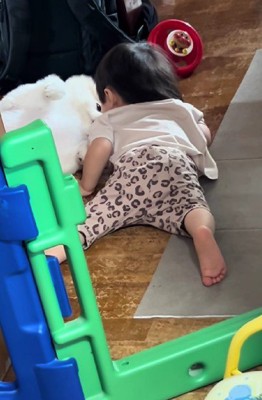 幸せな光景に心温まる…