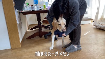 捕まえました♪