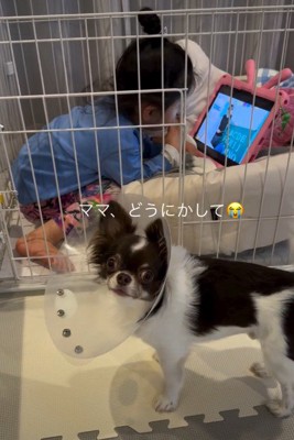 「ママ、どうにかして!」