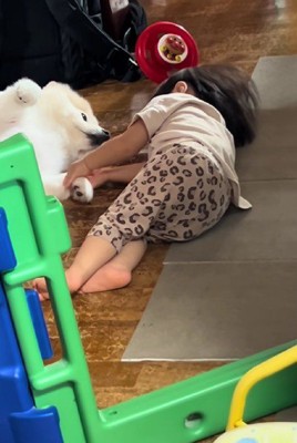 とっても優しい赤ちゃん