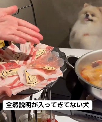 ちょうだいアピール♡