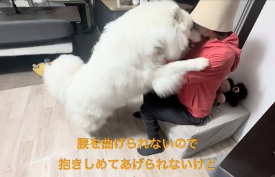 飼い主に顔を近づけるセブンちゃん