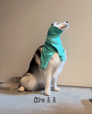 細すぎる…!!