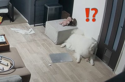 反応するセブンちゃん