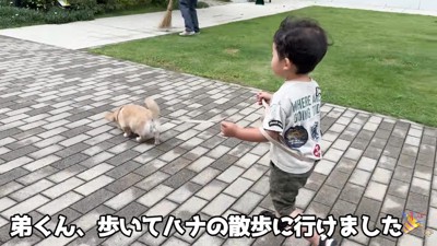 上手にお散歩できています！