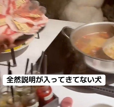 お肉の説明を聞いていたら…