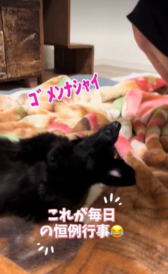 へそ天でごまかす作戦♡