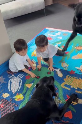 双子の近くでワンプロ開始