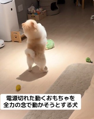 「お願い！動いて！」