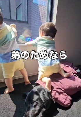 「これで外見れるね」