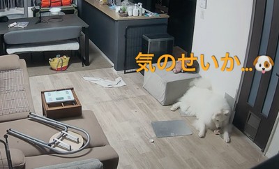 落胆するセブンちゃん