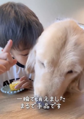 一瞬で完食!