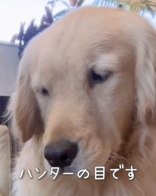 とうもろこしに一点集中…