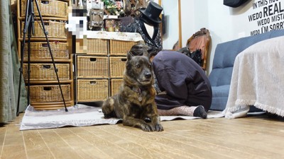 お説教中、聞き耳を立てていたかと思うと…