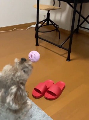 まだまだ現役!!