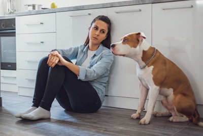 不機嫌な犬を困ったように見つめる飼い主
