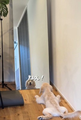鏡に映る自分とおしゃべり