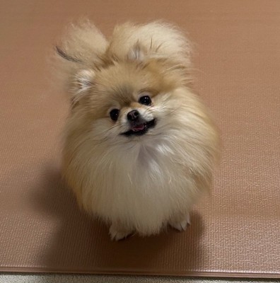 あざとい