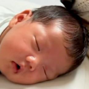 赤ちゃんが泣いていると『大丈夫？』と近づいてくる犬→何かあるとすぐに駆け付け…あまりにも尊い『母性溢れる光景』に反響「優しい」「泣ける」