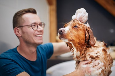 男性にシャンプーされている犬