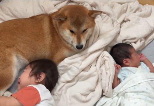 2人を見守ってくれています