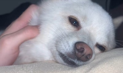 すっかりリラックス
