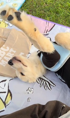 伸び～