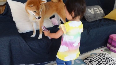 別のおもちゃを持ってきてくれました