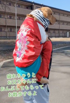 嬉しそうにおんぶされる犬
