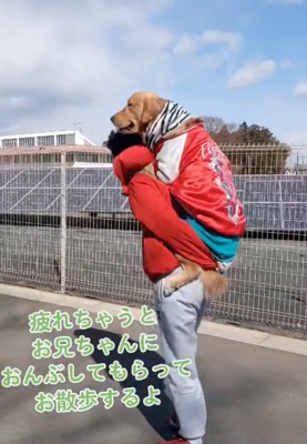 ニヤッと笑う犬
