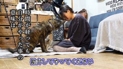 結局怒れなくなるママさん